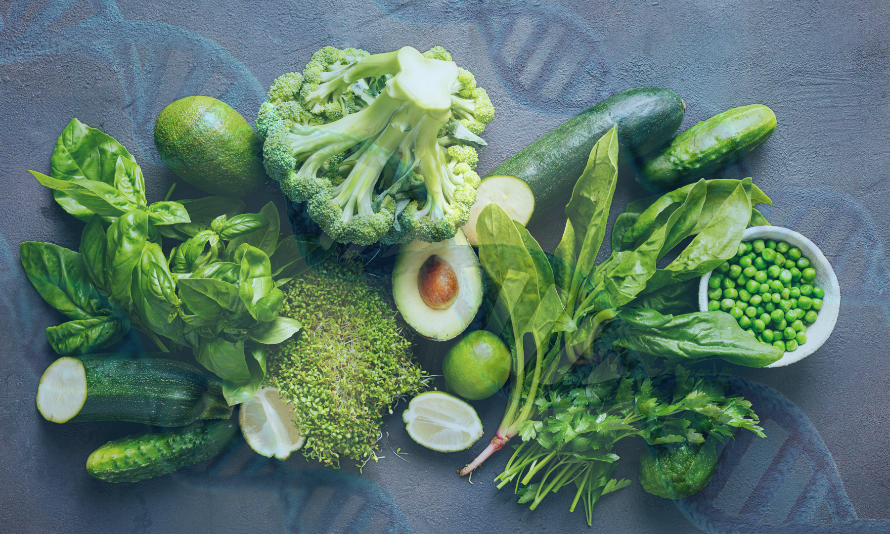 Gene Expression Food: How Your Diet Shapes Your DNA 1 Gene Expression Food: The Science Behind