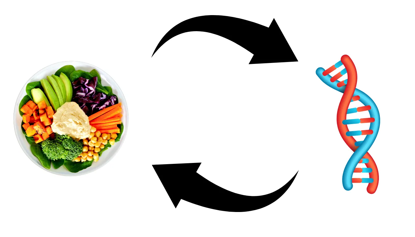 nutrient gene interactions