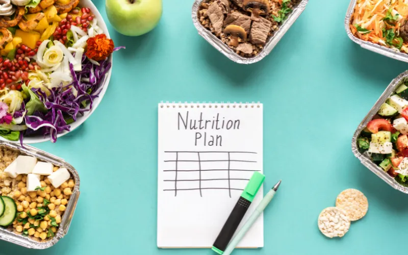 Metabolomics and Nutrient Metabolism: Mapping Nutrient Utilization Pathways 2 nutrition plan with metabolimics and nutrient metabolism