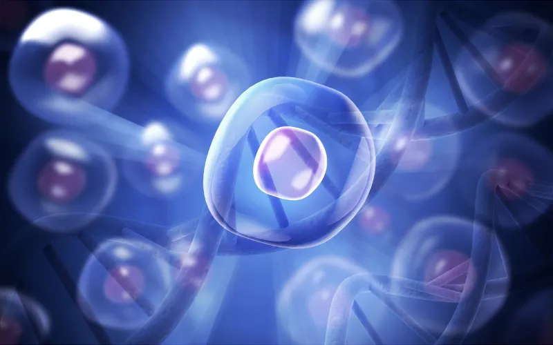 Antioxidants Cellular Protection: Oxidative Stress and Nutrigenomic Interventions 1 antioxidants cellular protection
