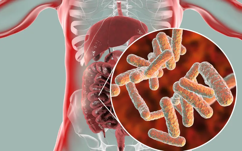 gut microbiome