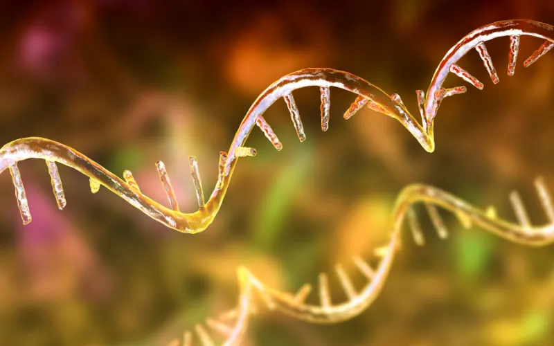 microrna-regulation-in-nutrigenomics