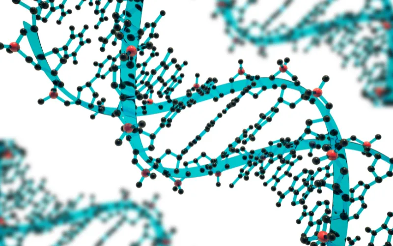 Phytochemicals Nutrigenomic Therapy for Cancer, Cardiovascular, and Metabolic Health 1 phytochemicals nutrigenomic therapy