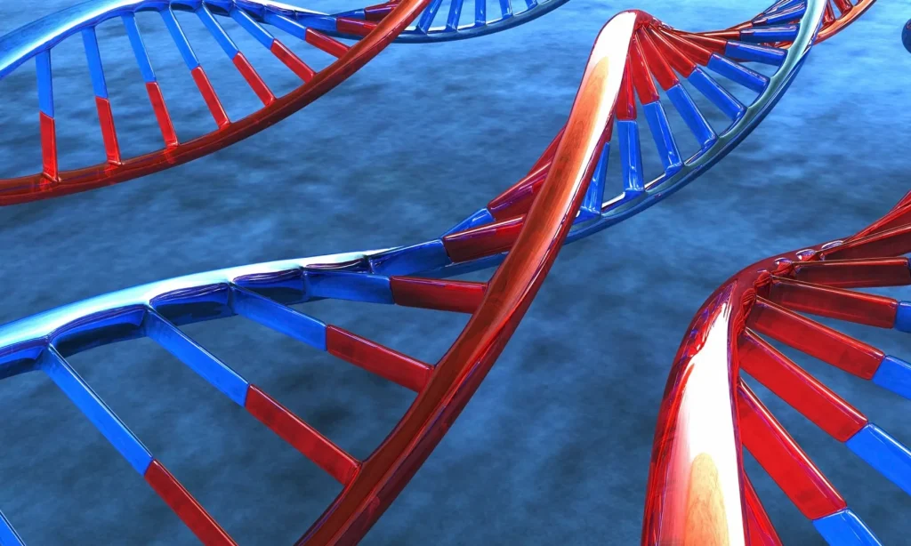 genetic nutrition testing