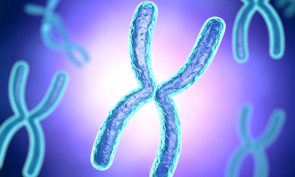 Genetic Nutrition Testing Misconceptions 1 genetic nutrition testing misconceptions single gene variants