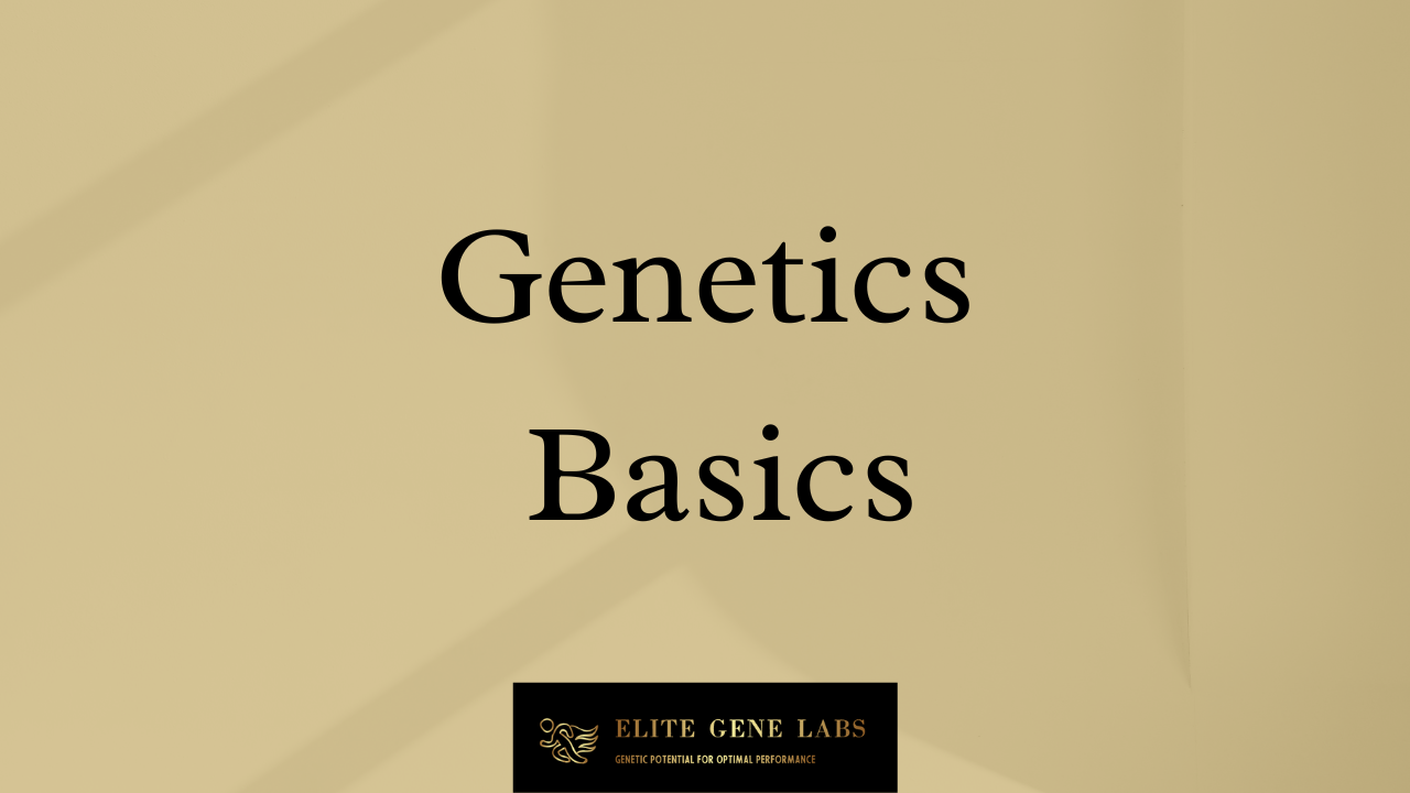 Genetics Basics