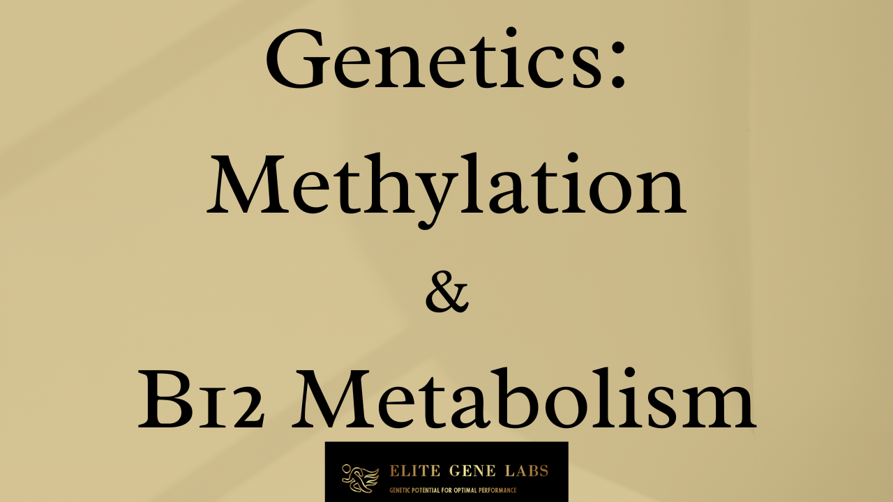 Genetics: Methylation and B12 Metabolism