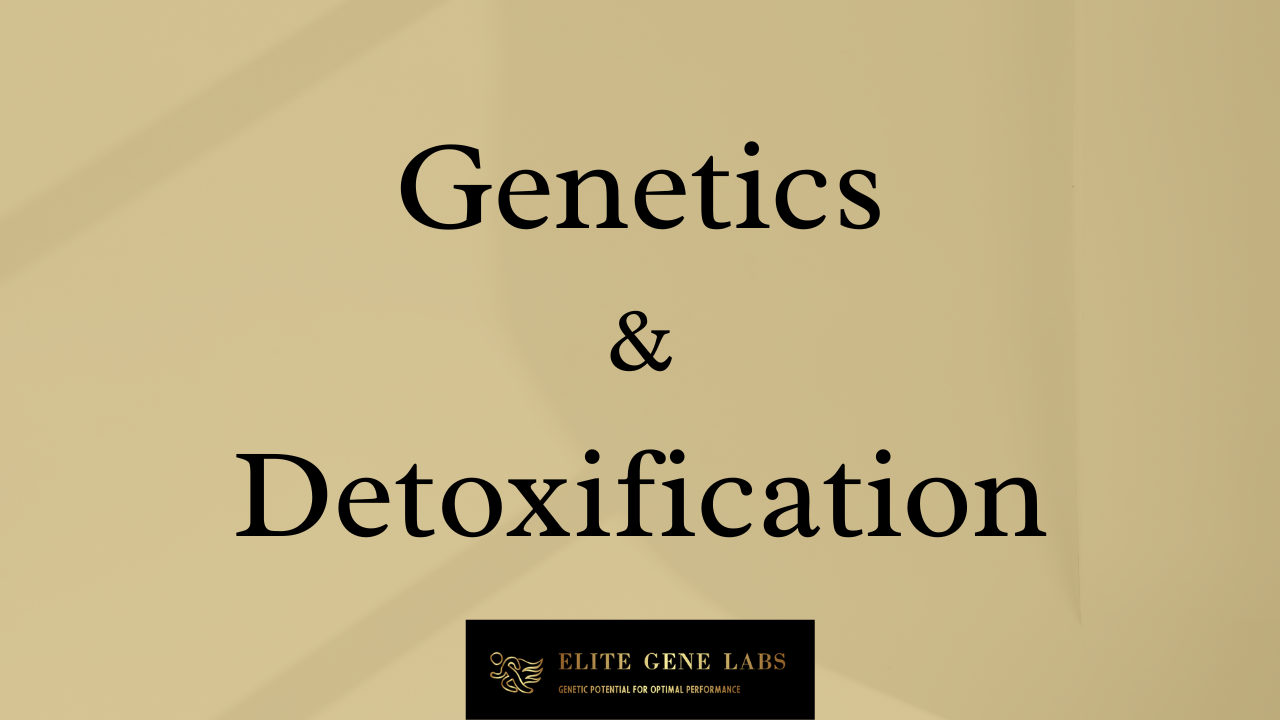 Genetics and Detoxifcation