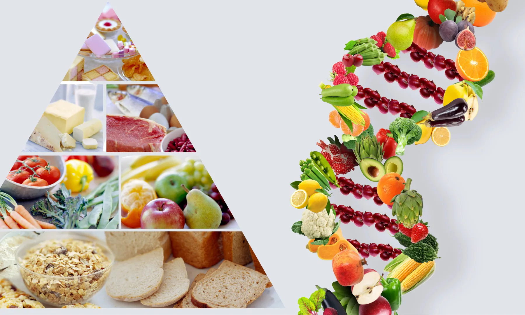 nutrigenomics vs traditional nutrition